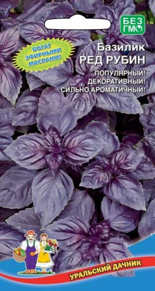 Базилик Ред Рубин — потрясающе ароматное и красивое растение, которое обязательно украсит ваш сад и изумит своим вкусом! Базилик Ред Рубин — потрясающе ароматное и красивое растение, которое обязательно украсит ваш сад и изумит своим вкусом!