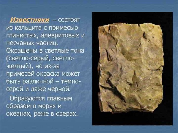 Известняк: полное описание, особенности цвета и технология изготовления блоков Известняк: полное описание, особенности цвета и технология изготовления блоков