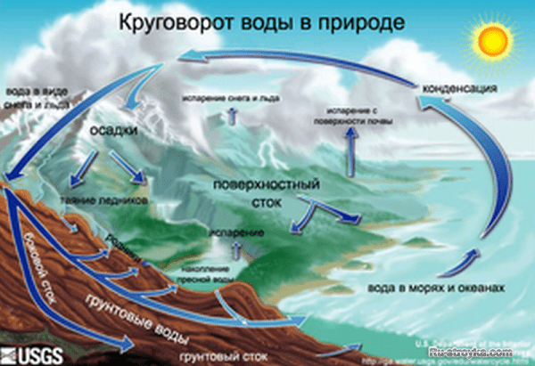КРУГОВОРОТ ВОДЫ В ПРИРОДЕ КРУГОВОРОТ ВОДЫ В ПРИРОДЕ