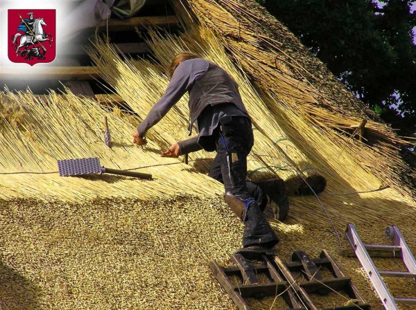 Устройство и особенности соломенной крыши: что нужно знать при ее строительстве