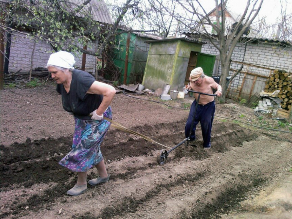 На что обратить внимание, покупая участок: крапива и лопухи – хороший признак На что обратить внимание, покупая участок: крапива и лопухи – хороший признак
