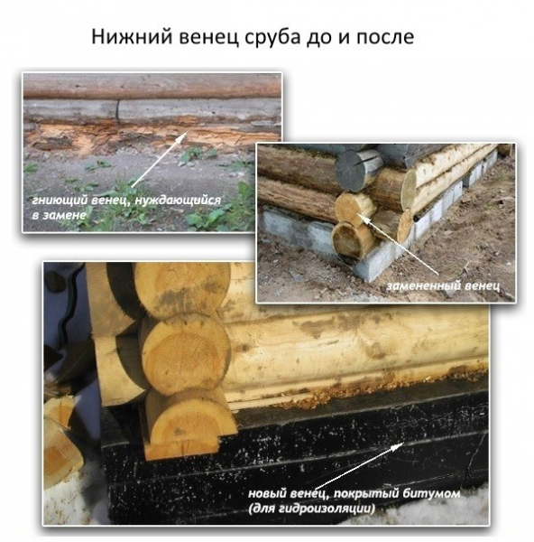 Нижние венцы сруба: технология замены и важные нюансы
