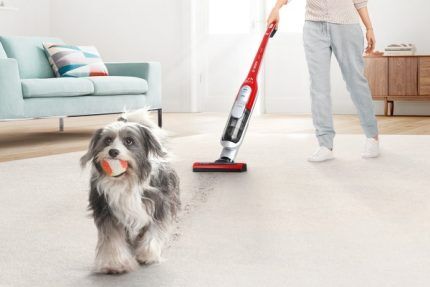 Беспроводные пылесосы Bosch: рейтинг лучших моделей + советы по выбору Беспроводные пылесосы Bosch: рейтинг лучших моделей + советы по выбору
