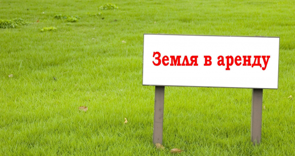 Сдача земли в аренду: грамотное оформление и сделка Сдача земли в аренду: грамотное оформление и сделка