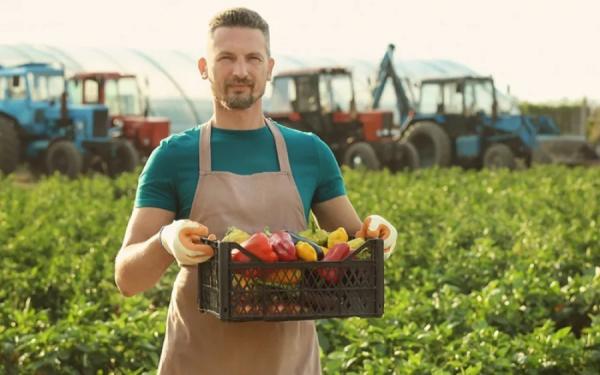 Как перевести земельный участок из ЛПХ в ИЖС Как перевести земельный участок из ЛПХ в ИЖС