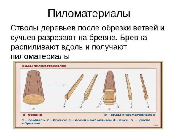 Что такое бревно: определение, внешний вид на фото, основные параметры Что такое бревно: определение, внешний вид на фото, основные параметры