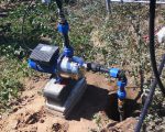 Как сделать абиссинскую скважину