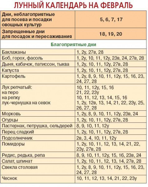 Благоприятные дни для посадки перца &mdash; важная информация для садоводов
