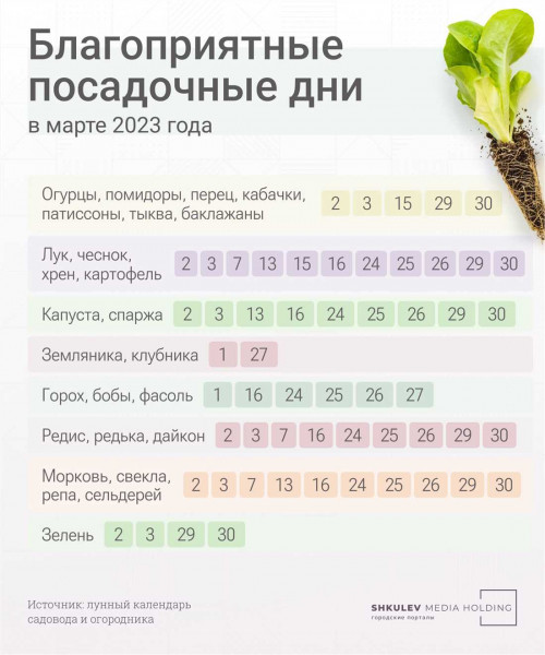 Лунный календарь посева семян на рассаду на 2021 год — лучшие дни для посадки и выращивания растений согласно фазам Луны Лунный календарь посева семян на рассаду на 2021 год — лучшие дни для посадки и выращивания растений согласно фазам Луны