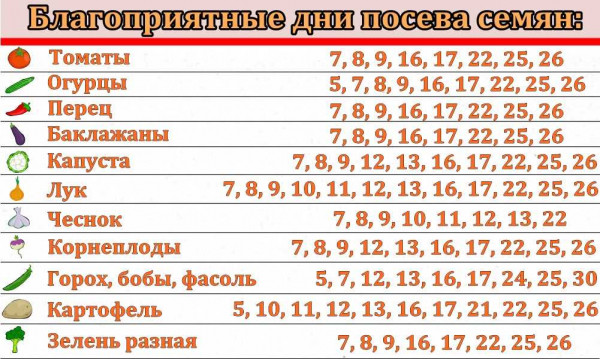 Благоприятные дни для посадки перца &mdash; важная информация для садоводов