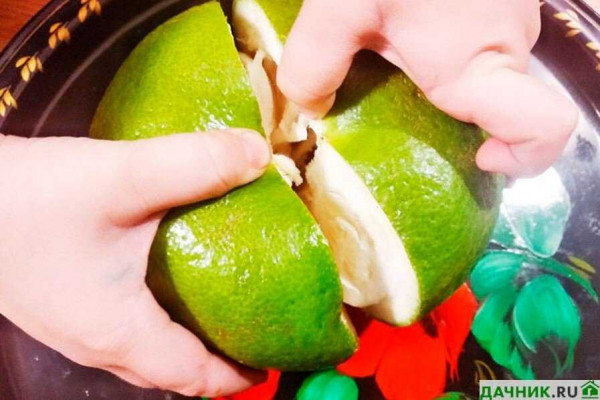 Свити фрукт &mdash; какой на вкус, как правильно выбрать и есть