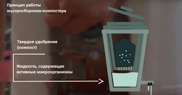 Бокаши, как применять удобрение в огороде и садоводстве Бокаши, как применять удобрение в огороде и садоводстве