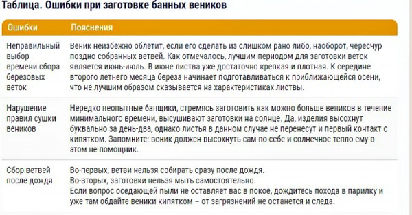 Как заготовить березовый веник для бани и как правильно запарить Как заготовить березовый веник для бани и как правильно запарить