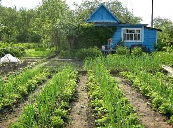 Как оформить продажу земельного участка через МФЦ: важная информация
