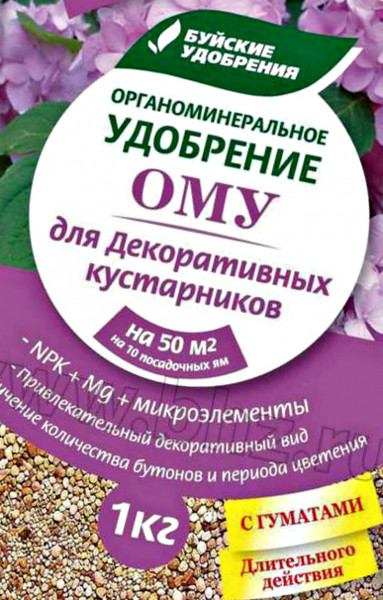 Уход за гортензией в начале осени