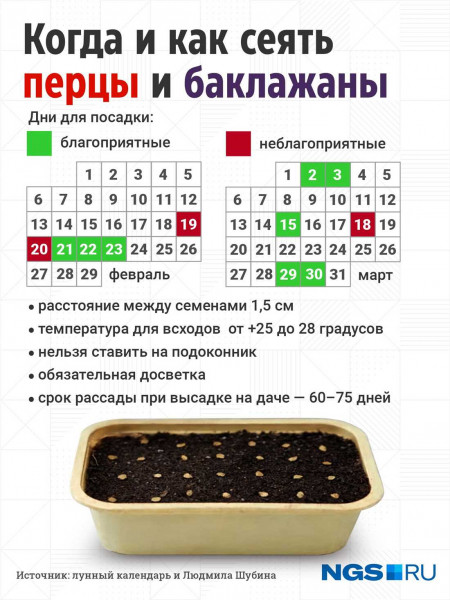 Благоприятные дни для посадки перца &mdash; важная информация для садоводов