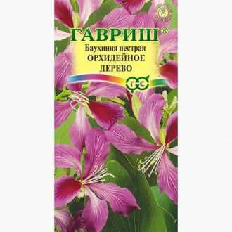 Как вырастить в квартире самое нежное и изящное орхидейное дерево — баухинию? Как вырастить в квартире самое нежное и изящное орхидейное дерево — баухинию?