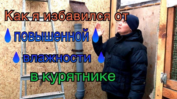 Как правильно организовать вентиляцию в курятнике своими руками и обеспечить комфортные условия для птиц Как правильно организовать вентиляцию в курятнике своими руками и обеспечить комфортные условия для птиц