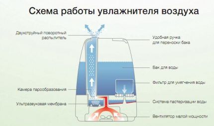 Нужен ли увлажнитель воздуха в квартире? Веские доводы &laquo;за и против&raquo;