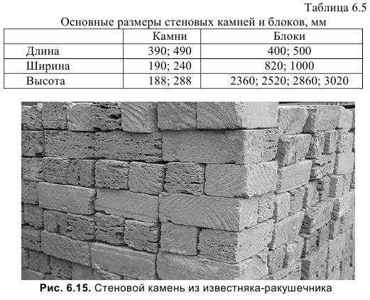 Какой вес может достигать ракушечник? | Определение размера и веса ракушки | Примеры и факты Какой вес может достигать ракушечник? | Определение размера и веса ракушки | Примеры и факты