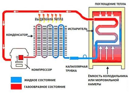 Как работает холодильник: устройство и принцип работы основных типов холодильников Как работает холодильник: устройство и принцип работы основных типов холодильников