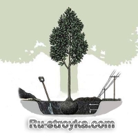 Как посадить дерево. Как посадить дерево.
