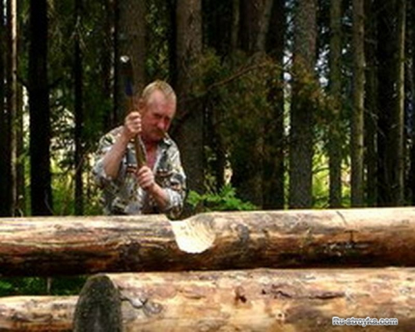 Плотник и Столяр. Плотник и Столяр.